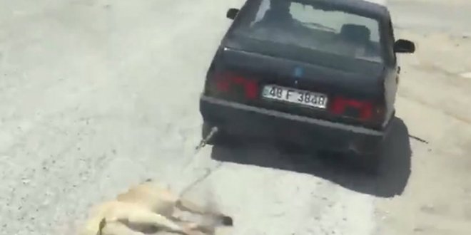 Köpeği arabanın arkasına bağlayan adama emsal ceza